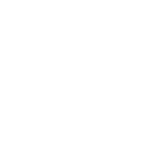 VOEBB Logo